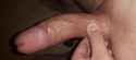 20161029_135308dri.jpg