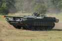 Stridsvagn_103.jpg