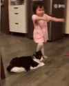 catrip1.gif