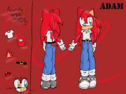 adam_the_hedgehog_reff_sheet_by_alichat-d4owpgp.png