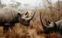 a9b32e7353ac25c43ac0766eb14c3ba9.jpg