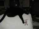 109-0971_IMG.jpg