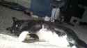 IMG_20150123_113725_068 - Copy.jpg