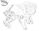 goddidntmakepugshappy.png