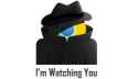 google is watching.jpg