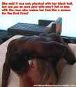 https%3A%2F%2F31.media.tumblr.com%2Fde80b8e40ec028c9fcead7270368714b%2Ftumblr_nttxx1SYmt1t1xxf8o1_r1_400.gif