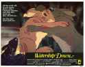 watershipDown!.jpg
