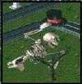 mr bones left.png