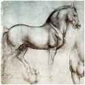 leonardo-horse-drawing.png