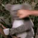 4870436+_0ff238822ca62264a7edc55f9c6785fe.gif