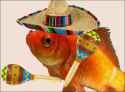 Goldfish 171b.png