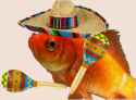 Goldfish 171b.png