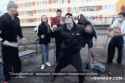 IMG_2912.gif