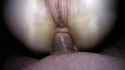 PicsArt_10-31-02.47.30.jpg
