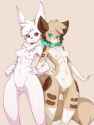 tumblr_nq0a1vj6kX1r5wduoo3_500.png