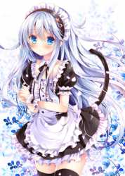 Hibiki_1400.jpg