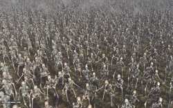 skeleton-army.jpg