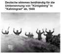 demokratieimwandel.jpg