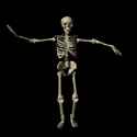 spooky-skeleton.gif