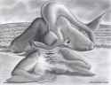 1241247244.dharken_td-heather_headon.jpg