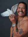 machette peacebird.png