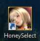 honeyselect.png