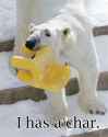 bear_haschair.png