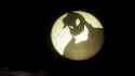 1380670322277.gif