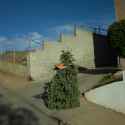 tumblr_n1xf19w1OH1spb1t2o2_500.jpg