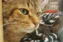 received_299088917138597.jpg