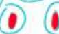 SmartSelectImage_2016-11-02-01-47-44.png