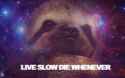 slothbro.jpg