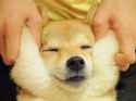 tumblr_inline_noy5f0uyHb1sq13ai_500.jpg