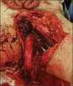 390646.thumb.jpg