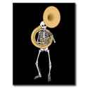 sousaphone_skelett_postkarten-re640324bc53047b08897524dd95f5db7_vgbaq_8byvr_324.jpg
