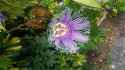 20160810_144629.jpg