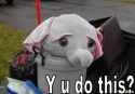 y-u-do-this-elephant-trash.jpg