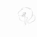 Sketch3412031.png