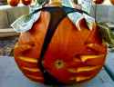 roadie pumpkin.jpg