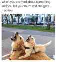 FB_IMG_1477260031170.jpg