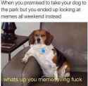 1478161705230.png