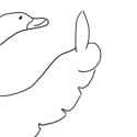 thumbs up.jpg