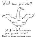 whatdo.png