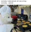 6EoWijx19Q8.jpg