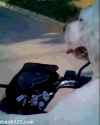 dogonbike3.gif
