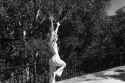iTEUCcD.jpg
