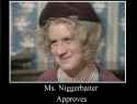 Ms Niggerbaiter.png