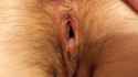 pussy.jpg