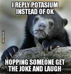 ylyl bear 9 gag.jpg