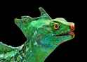 a_Basiliscus_plumifrons_04.jpg